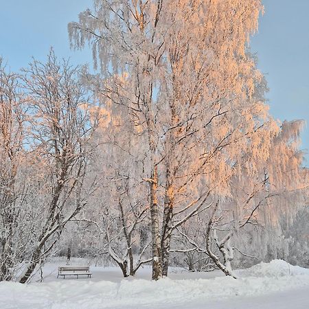 Tilava Uudistettu Perheasunto Apartment Rovaniemi Bagian luar foto