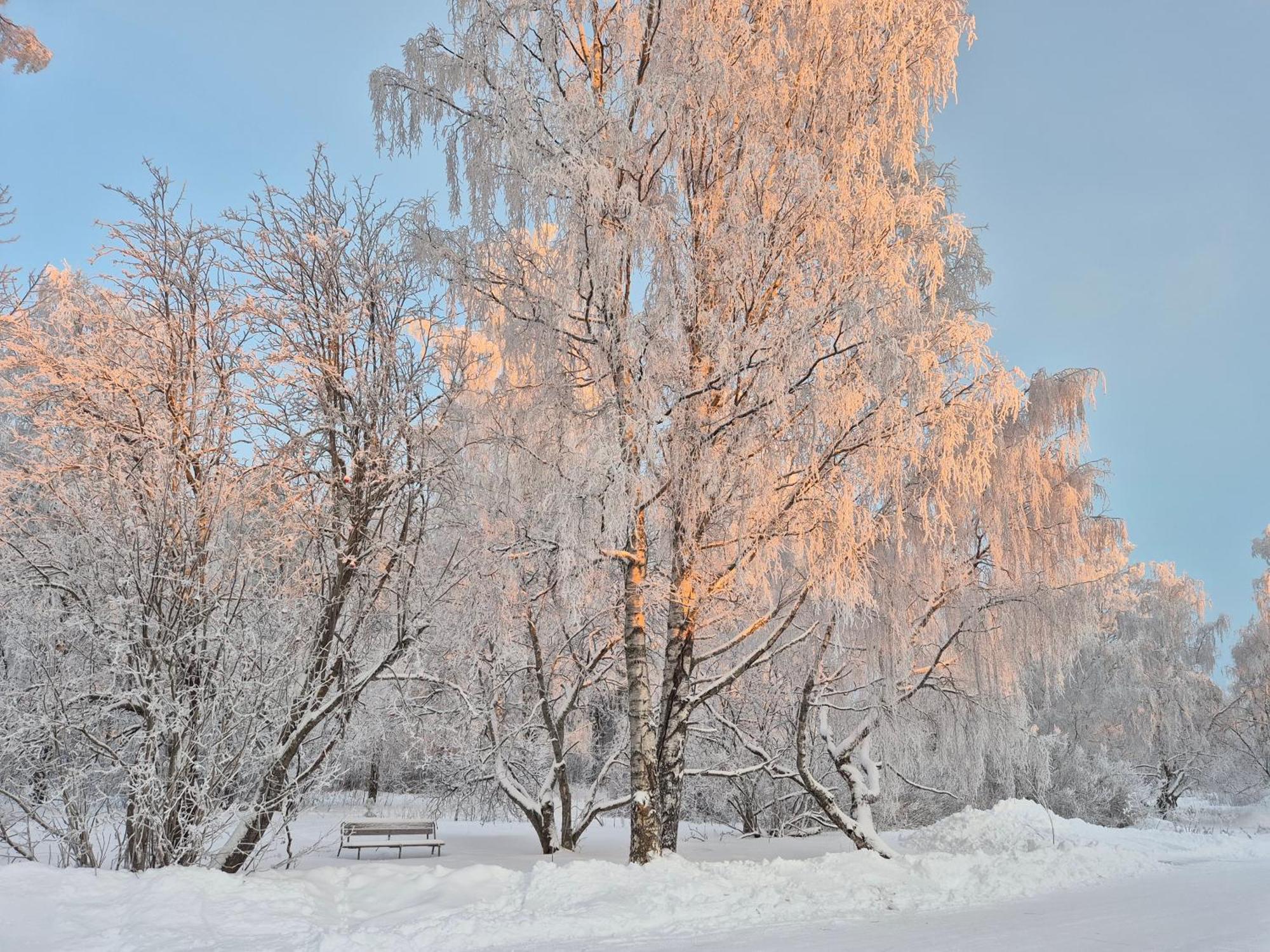 Tilava Uudistettu Perheasunto Apartment Rovaniemi Bagian luar foto